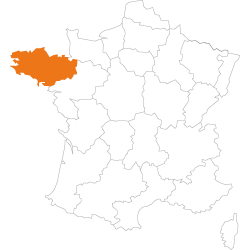 carte mandataire Rennes