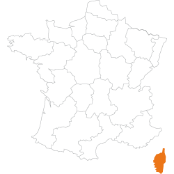 carte mandataire Bonifacio